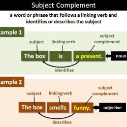 Subject complement sentence pattern follows contains