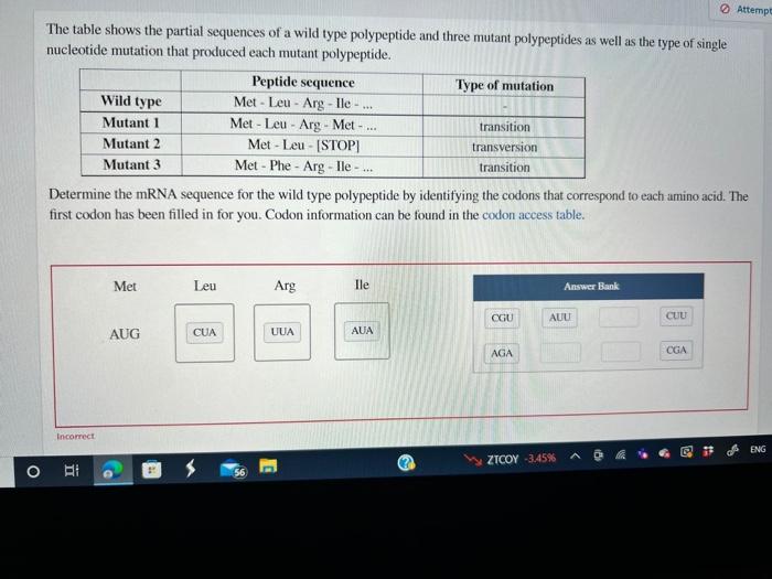 Structure peptide