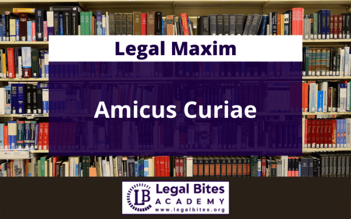 Circumstance cousin meaning law curiae amicus