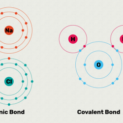 Covalent bonds gizmos answer key