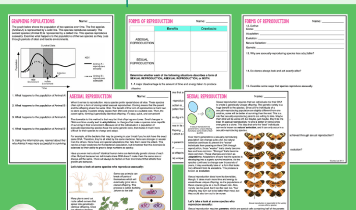 Sexual or asexual worksheet answers