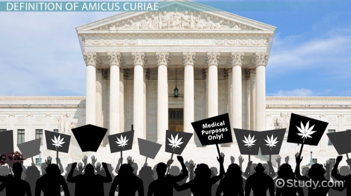 Amicus curiae ap gov definition