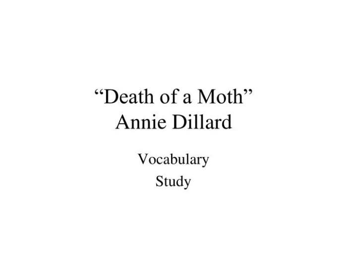 The death of a moth by annie dillard