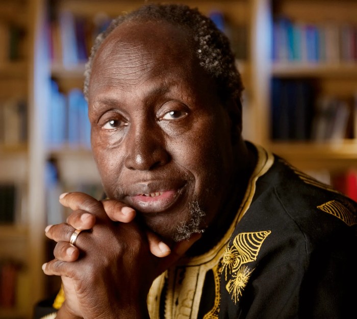 The return by ngugi wa thiong'o summary