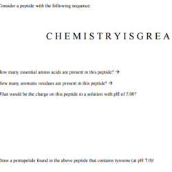 Consider the partial sequence of a peptide