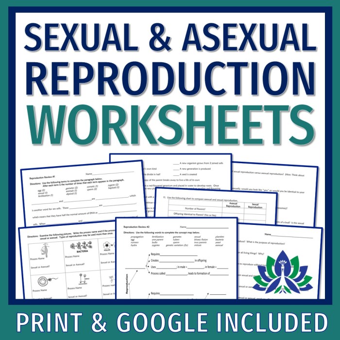 Sexual or asexual worksheet answers