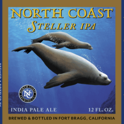 Steller ipa coast north