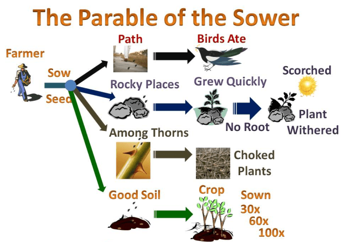 Parable of the sower quotes with page numbers